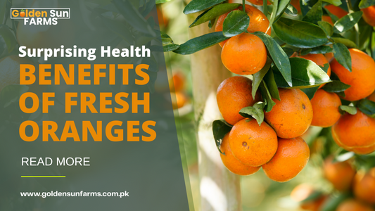 The Surprising Health Benefits of Fresh Oranges: Nature's Citrus Powerhouse