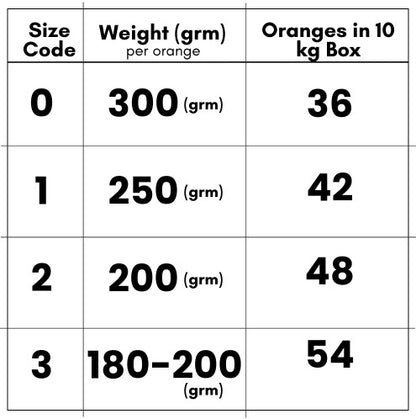 Export Quality Kinnow's 10kg Box